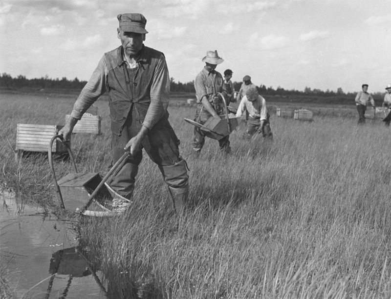 Image used in Staff Favorites Exhibit at Wisconsin Historical Museum