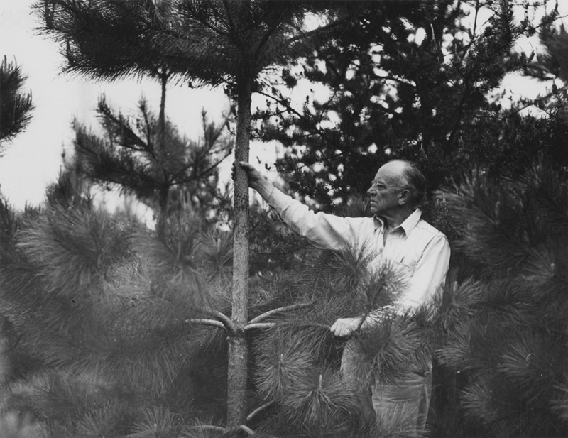 Image used in Staff Favorites Exhibit at Wisconsin Historical Museum